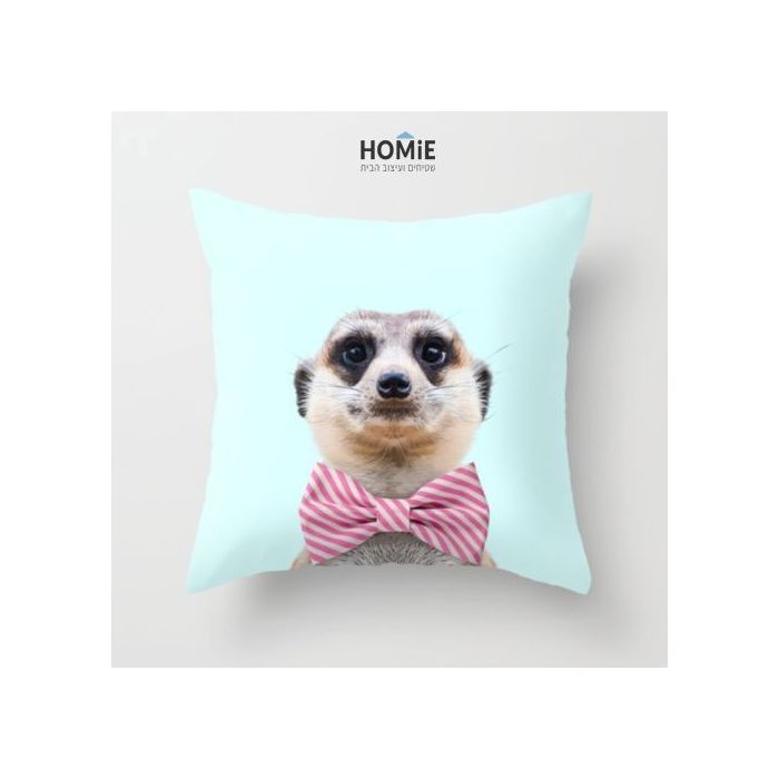 כרית נוי מדליקה ואיכותית לסלון, לחדר שינה, לחדר ילדים ושאר חלל הבית דגם סוריקטה אלגנטית. 