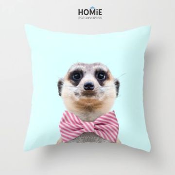 כרית נוי מדליקה ואיכותית לסלון, לחדר שינה, לחדר ילדים ושאר חלל הבית דגם סוריקטה אלגנטית. 