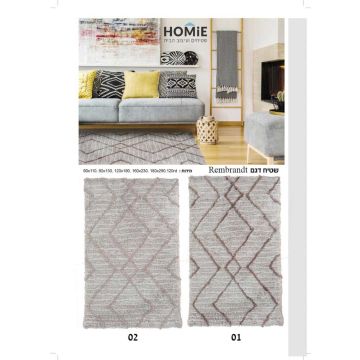 שטיח גיאומטרי מודרני כפרי מעויינים זיגזג דגם רמברנדט. השטיח היוקרתי מגיע בסגנון כפרי שיכניס המון סטייל וחמימות לסלון ושאר חלל הבית. הבדלי הגבהים של הפלומות והניגודיות בין הצבעים יוצרים דוגמא גיאומטרית מרהיבה הנעימה מאוד לעין. 