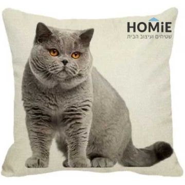 כרית נוי לסלון ושאר הבית דגם חתול בריטי אדיש. הכרית המדליקה מתאימה גם לחדר שינה וחדר ילדים.