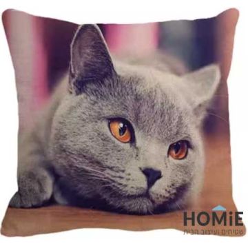 כרית נוי לסלון ושאר הבית דגם חתול בריטי מתפנן. 