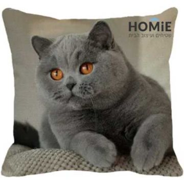 כרית נוי לסלון ושאר הבית דגם חתול בריטי מרגל. הכרית המדליקה מתאימה גם לחדר שינה וחדר ילדים.