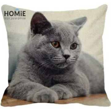 כרית נוי לסלון ושאר הבית דגם חתול בריטי בוהה. הכרית המדליקה מתאימה גם לחדר שינה וחדר ילדים.