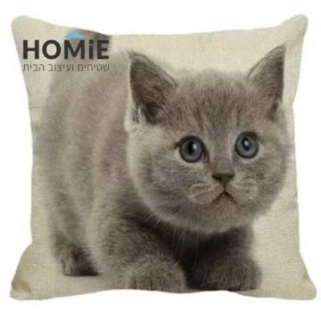 כרית נוי לסלון ושאר הבית דגם גור חתול בריטי 01. 