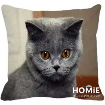 כרית נוי לסלון ושאר הבית דגם גור חתול בריטי 02. 