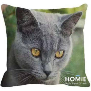 כרית נוי לסלון ושאר הבית דגם חתול בריטי ממוקד. 