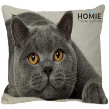 כרית נוי לסלון ושאר חלל הבית דגם חתול בריטי אפור. הכרית המדליקה מתאימה גם לחדר שינה, חדר ילדים ותינוקות, חדר משפחה ואורחים, פינת ישיבה, פינת אוכל, חדר עבודה, משרד, בית ספר, גן ילדים ואולם אירועים. 