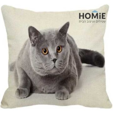 כרית נוי לסלון ושאר הבית דגם חתול בריטי מדושן עונג. 