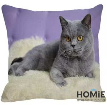 כרית נוי לסלון ושאר הבית דגם חתול בריטי מתפנק. 