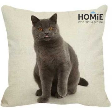 כרית נוי לסלון ושאר הבית דגם חתול בריטי תעלולן. הכרית האיכותית מתאימה גם לחדר שינה וחדר ילדים.