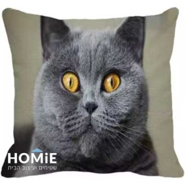 כרית נוי לסלון ושאר הבית דגם חתול בריטי מופתע. 