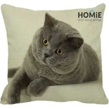 כרית נוי לסלון ושאר הבית דגם חתול בריטי עייף מהחיים. הכרית מתאימה גם לחדר שינה וחדר ילדים.