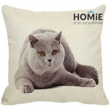 כרית נוי לסלון ושאר הבית דגם חתול בריטי דרוך. הכרית המדליקה מתאימה גם לחדר שינה וחדר ילדים.