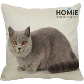 כרית נוי לסלון ושאר הבית דגם חתול בריטי דרוך 02. הכרית מתאימה גם לחדר שינה וחדר ילדים.