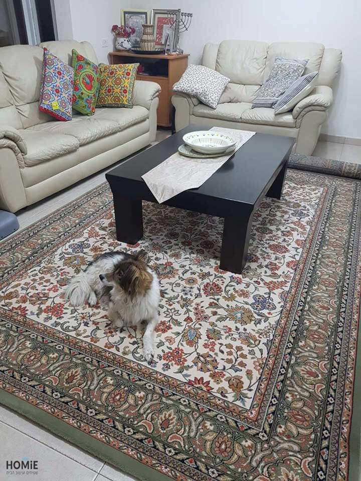 שטיח קלאסי לסלון בצבע ירוק