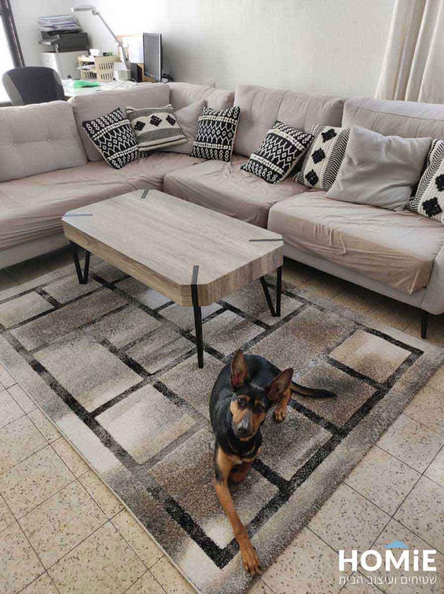 שטיח סלון גיאומטרי מודרני חום בז' שחור אפור