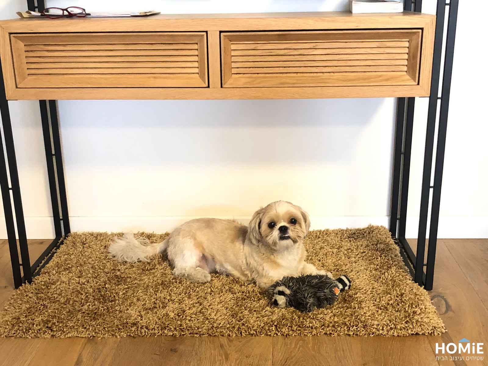 שטיח שאגי בז' לסלון ושאר חלל הבית